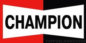 BLISTER ESCOBILLAS LIMPIA  CHAMP